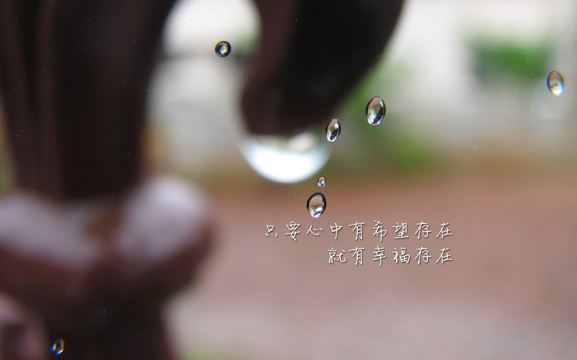 _篮网团队配合默契，战绩持续攀升_，篮网队最新签约